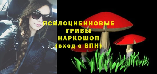 PSILOCYBIN Абдулино