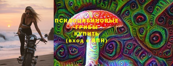 шишки Лиски