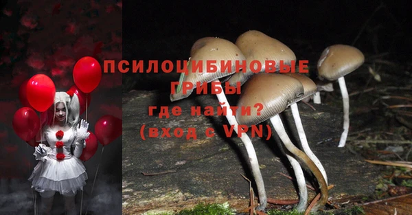 шишки Лиски