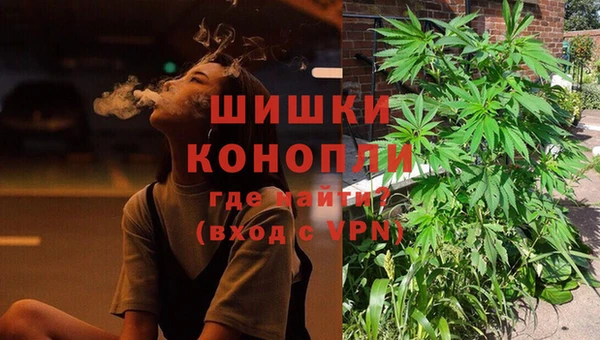 PSILOCYBIN Абдулино