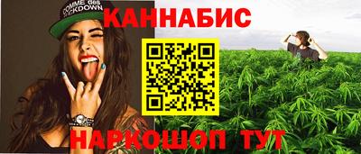 индика Кинель