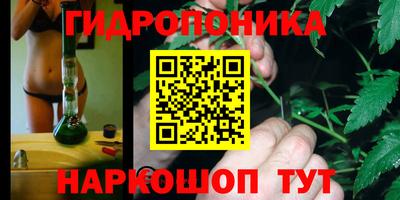 индика Кинель