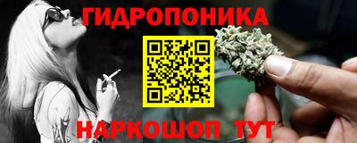 индика Кинель