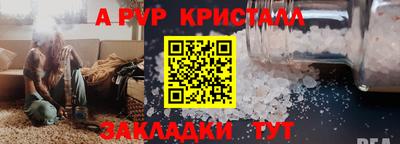 прущие крисы Кингисепп